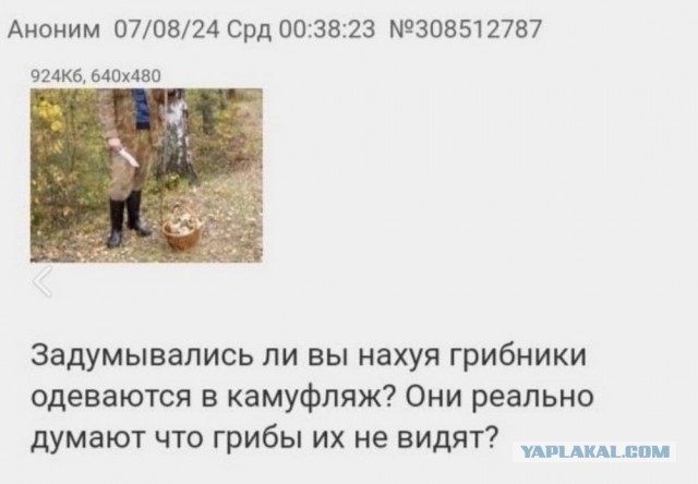 Быстрое деградирование