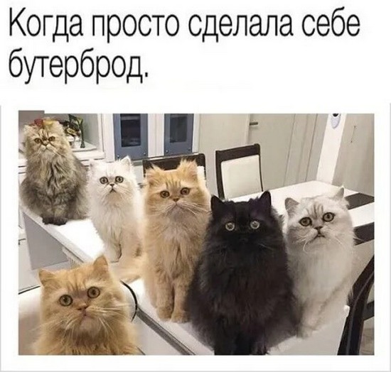Завалялось тут случайно немного забавных картинок