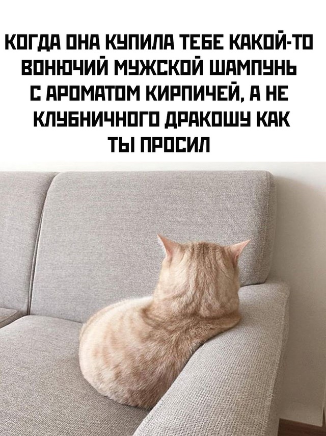 Весёлый полтишок 19.09.24