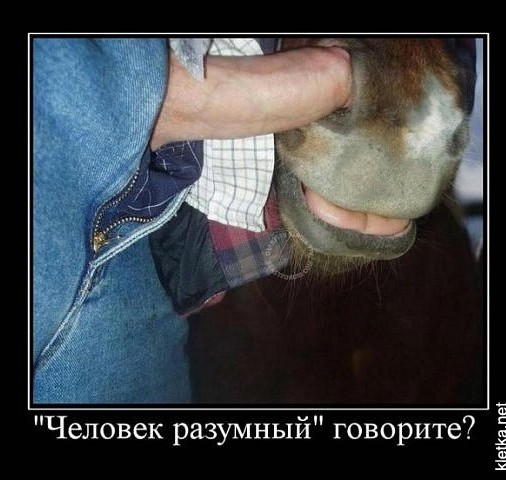 Непередаваемые ощущения