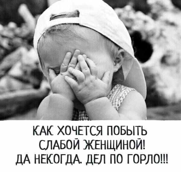 Прикольные и просто красивые картинки 08.11.2024