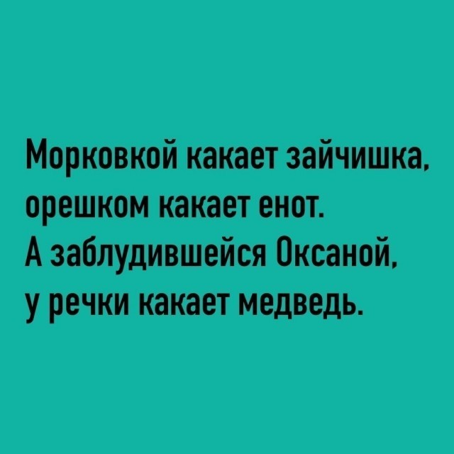 На Камчатке две подруги чуть было не сыграли в «Выжившего»: ими очень заинтересовался медведь и даже переплыл ради них реку