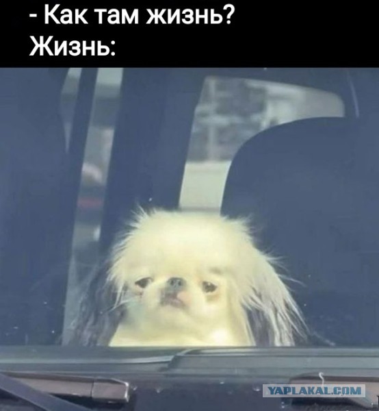 Маленькая пятница 23.07