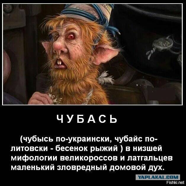 Чубайс суккуб или инкуб?