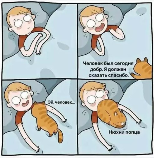 Картиночки, баянчики 07 апреля