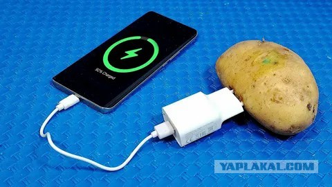 Беларусь