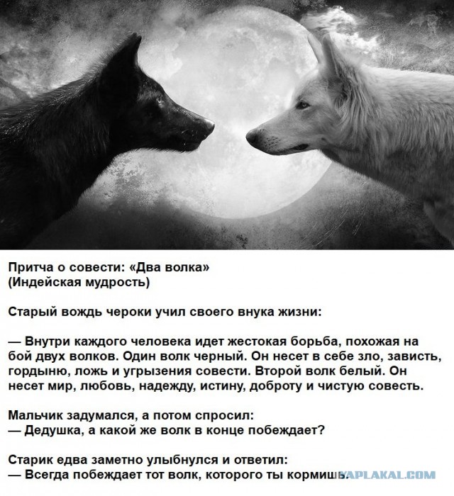 Картинки для деградации 236 (разной степени свежести)