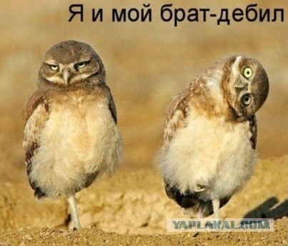 Родственнички