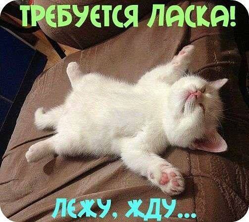 Улыбнуло часть "2"