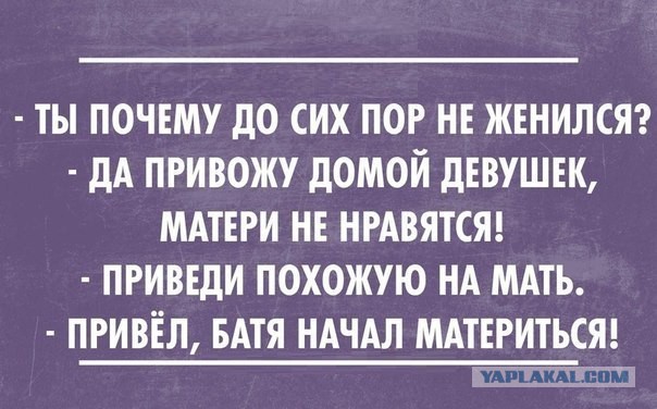 Смешные комментарии из социальных сетей 04.08.14