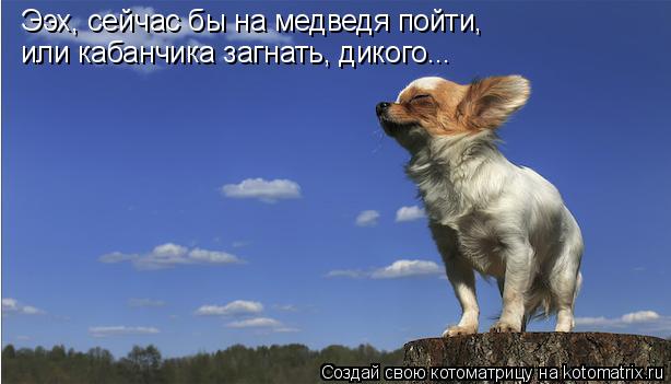 Такие сотрудники ДПС вызывают только улыбку )))