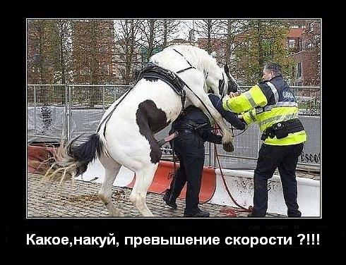 Этот неловкий момент...