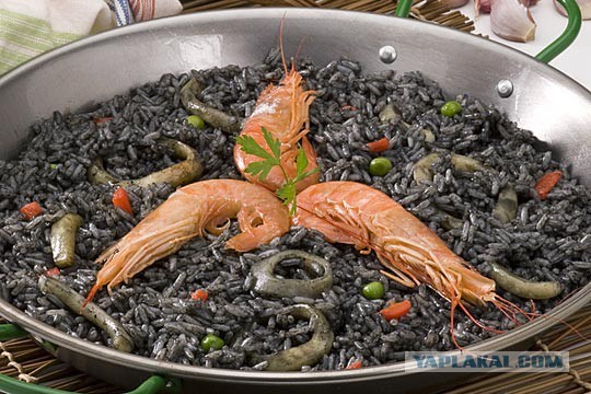 25 национальных блюд, которые стоит попробовать