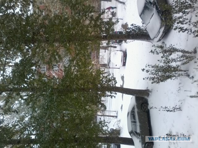 Деревенская Америка