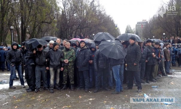 Что сейчас можно купить в Украине за 84 доллара?