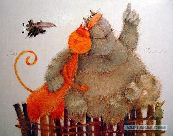 Котовоскресенье