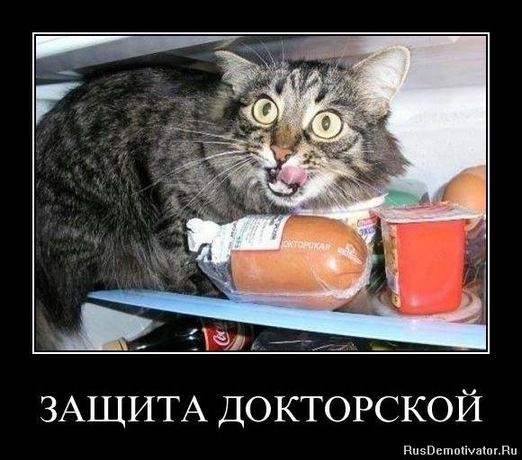 Котовторнику посвящается.