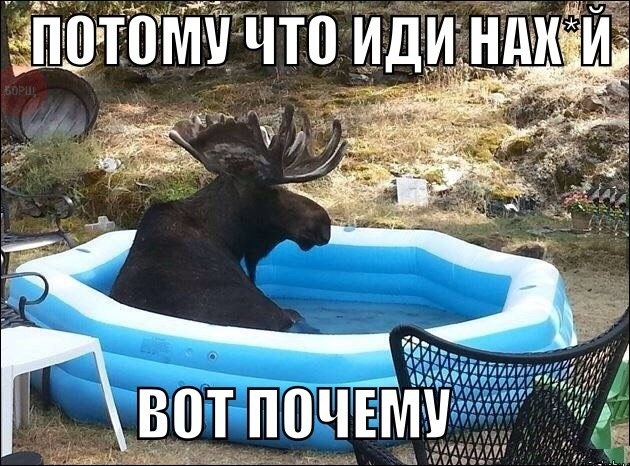Картинки из инета