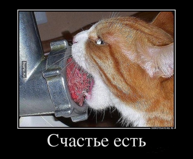 Картинки