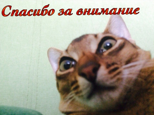 Кототестер или колбасометр