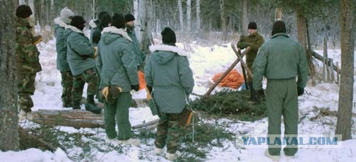 Иструкция: как не замерзнуть в зимнем лесу