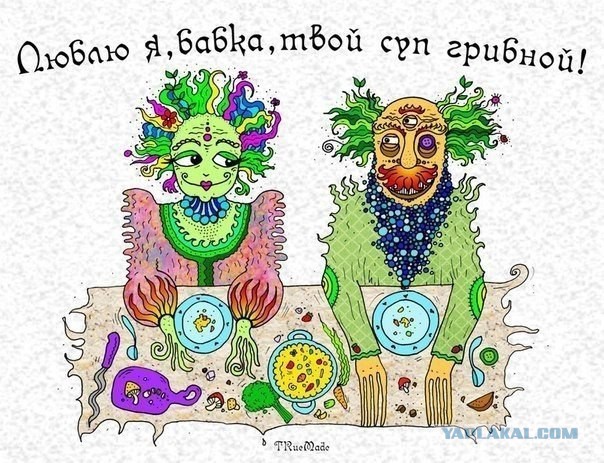 Удивительный мир грибов