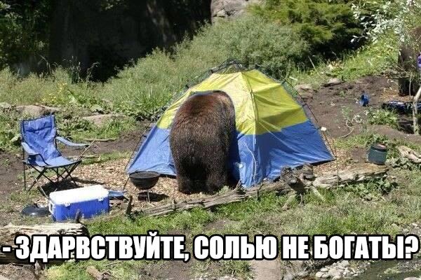 Подборка прикольных картинок