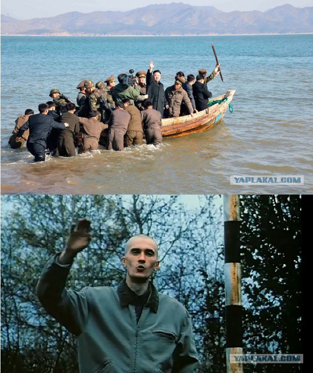 Бывай ихтиандр картинка