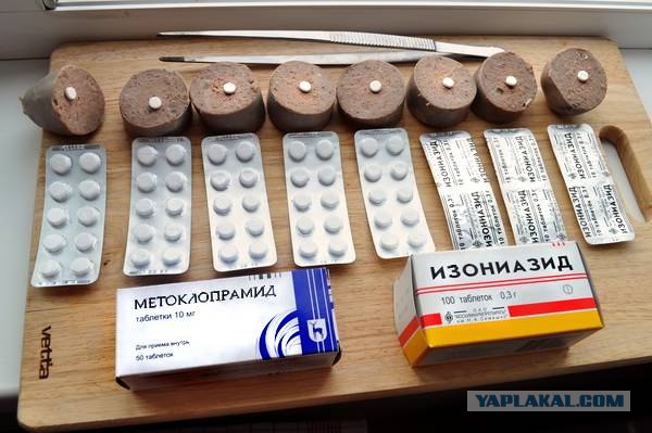 Догхантеры травят собак порошком в парках