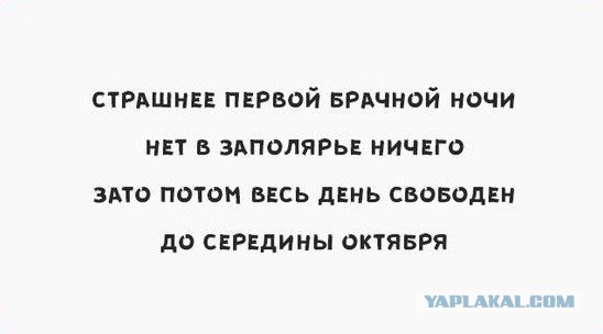 Забавные картинки из Сети