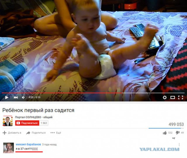 Забавные картинки из Сети