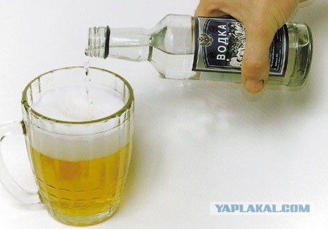 Записки пивного алкаша