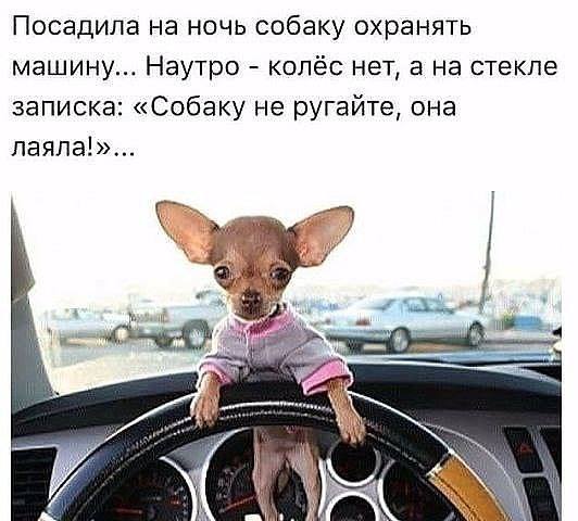 Фотоподборка на пятницу.