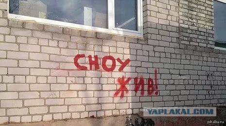 Кратко о воскрешениях