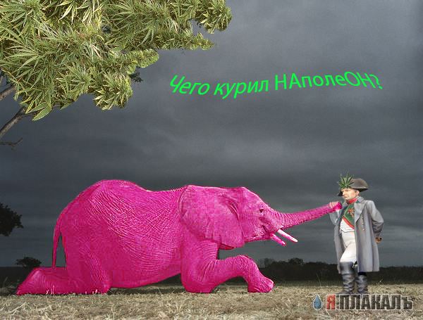 Фотожаба: Дареному слону..