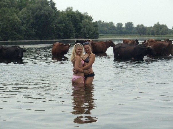 Ужасы и приколы из соцсетей 18+