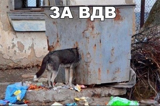 Порция картинок на пятницу