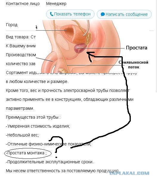 Правописание. Или смерть.