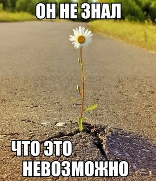 Картинки и приколы из сети