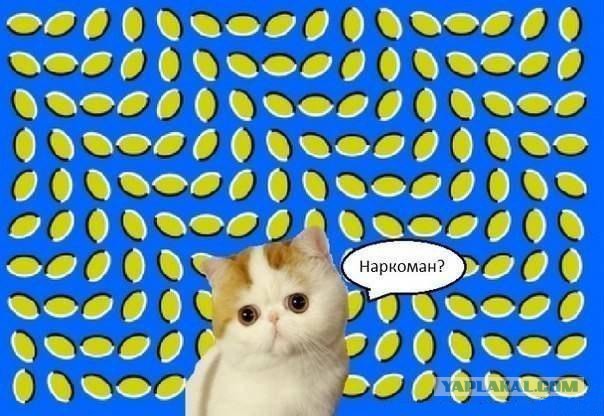 Как вам такие обои?