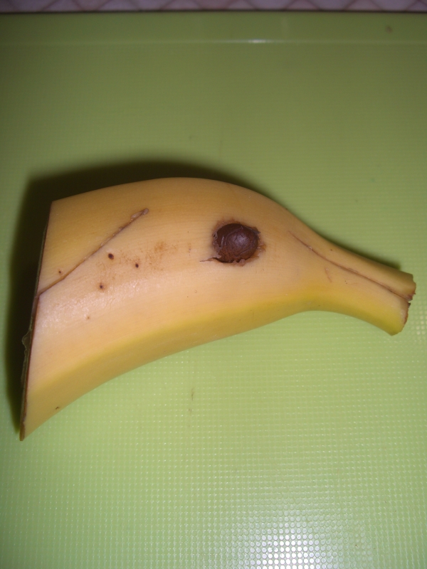 День рождения Кулинарии. Коктейльная вечеринка