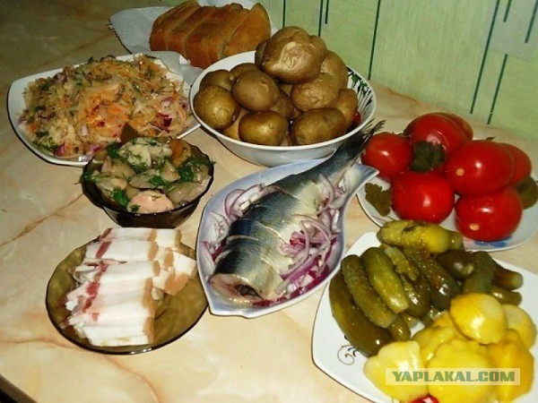 Ризотто с уткой и домашняя шаурма