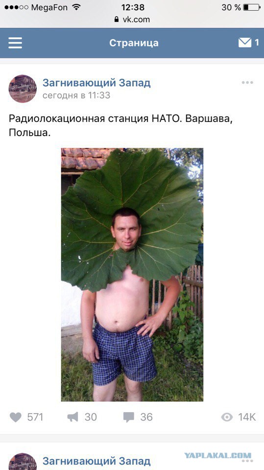 Ужасы и приколы из соцсетей
