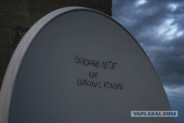 30 картинок с надписями на разные темы