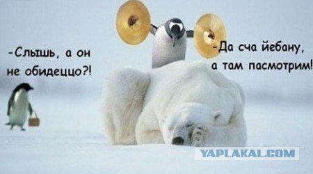 Анекдоты на субботу, 09.04.2011