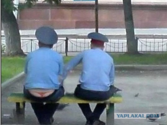 Подборка интересных и веселых картинок