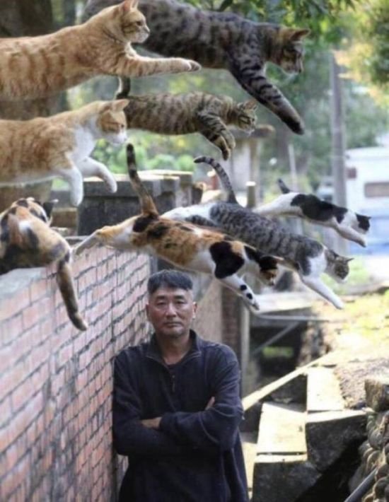Нестандартный юмор