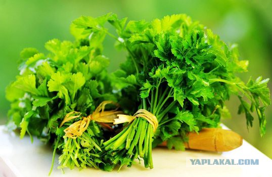 Будь мужиком! Накорми вкусно семью! Сам!