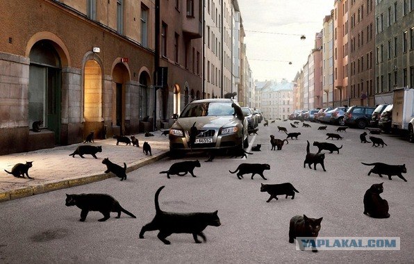 За что ты предал меня, человек?