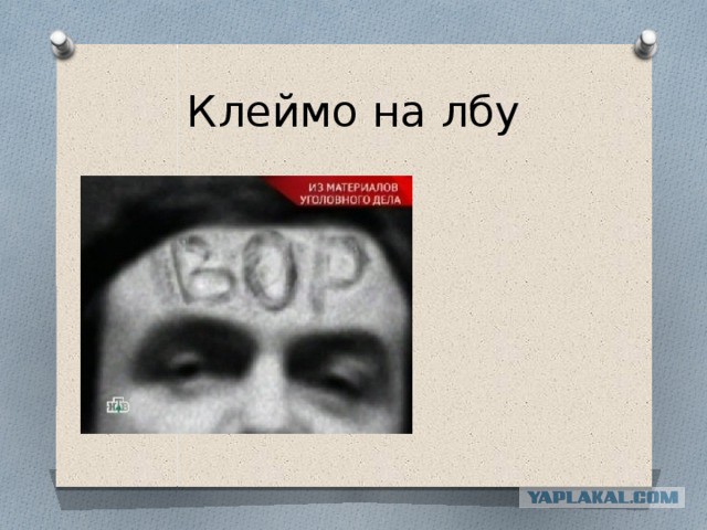 Медведев предложил ставить электронное клеймо на бревна